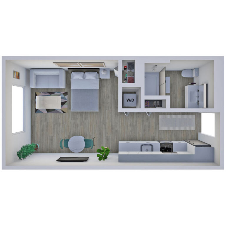 Studio- The Forest