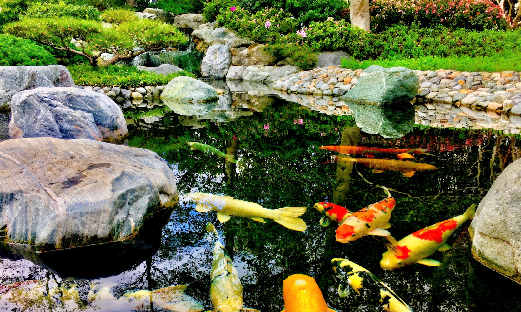An image of a Japanese garden with a koi fish pond
