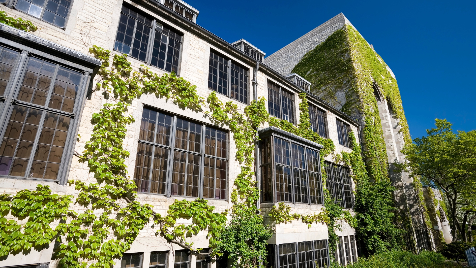 A photo of an ivy-covered Northwestern University building