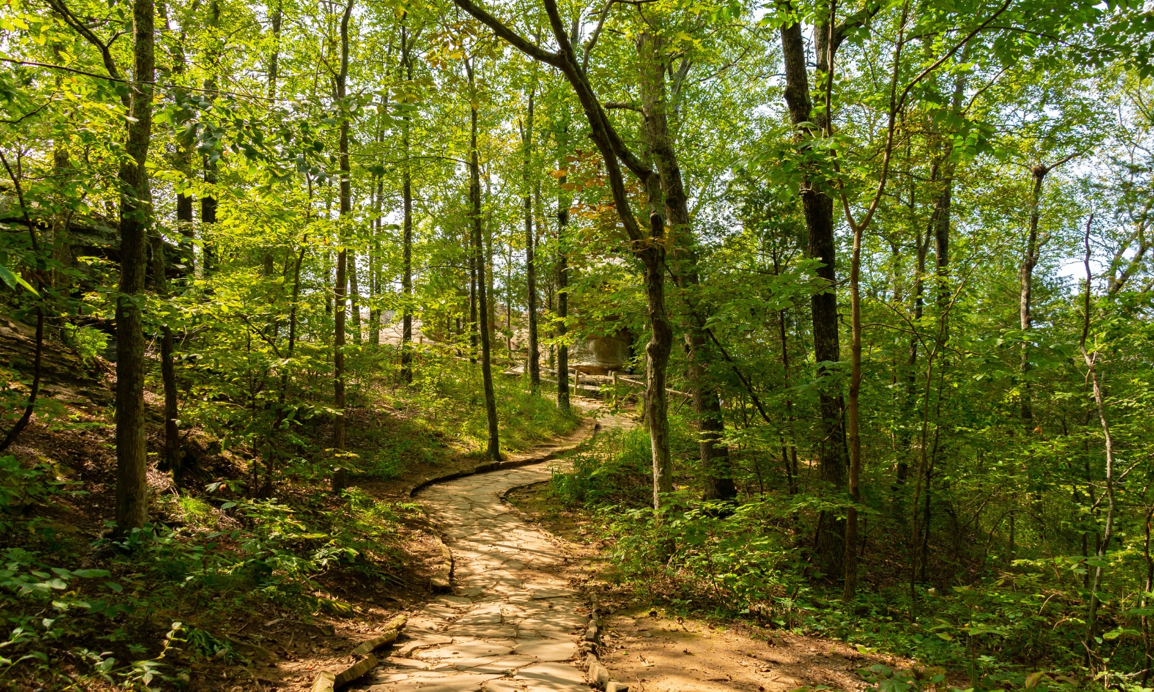 An image of a hiking trail at an Illinois park