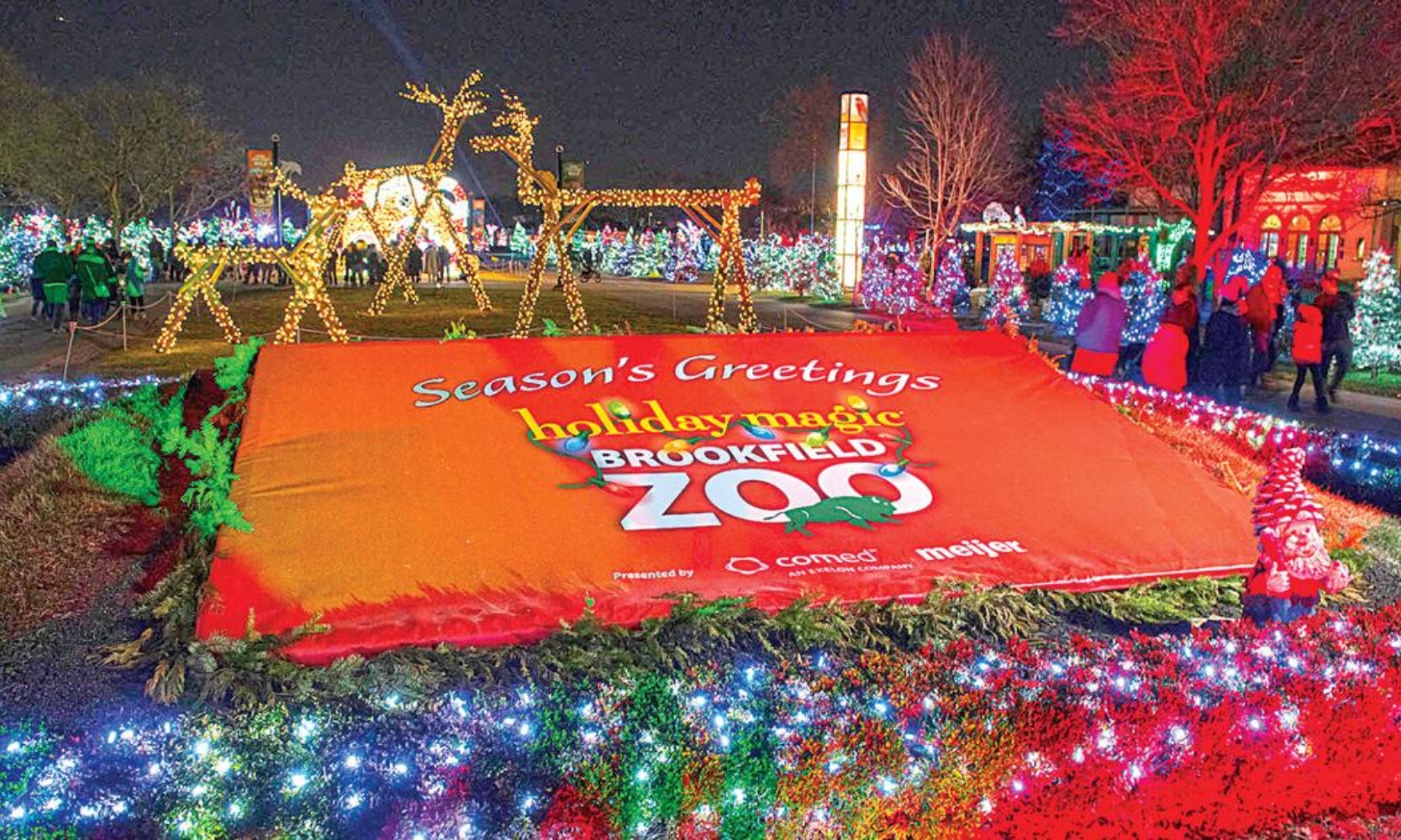 Image of the illuminating holiday-themed entrance at the Brookfield Zoo's Holiday Magic event