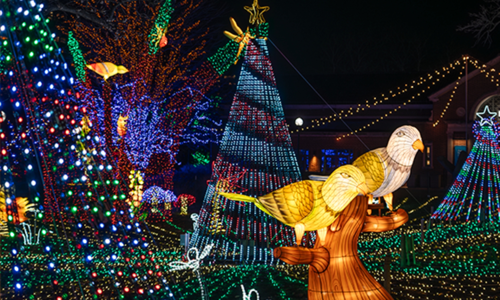 A large animal and holiday-themed lighting installation at Lincoln Park Zoo's ZooLights