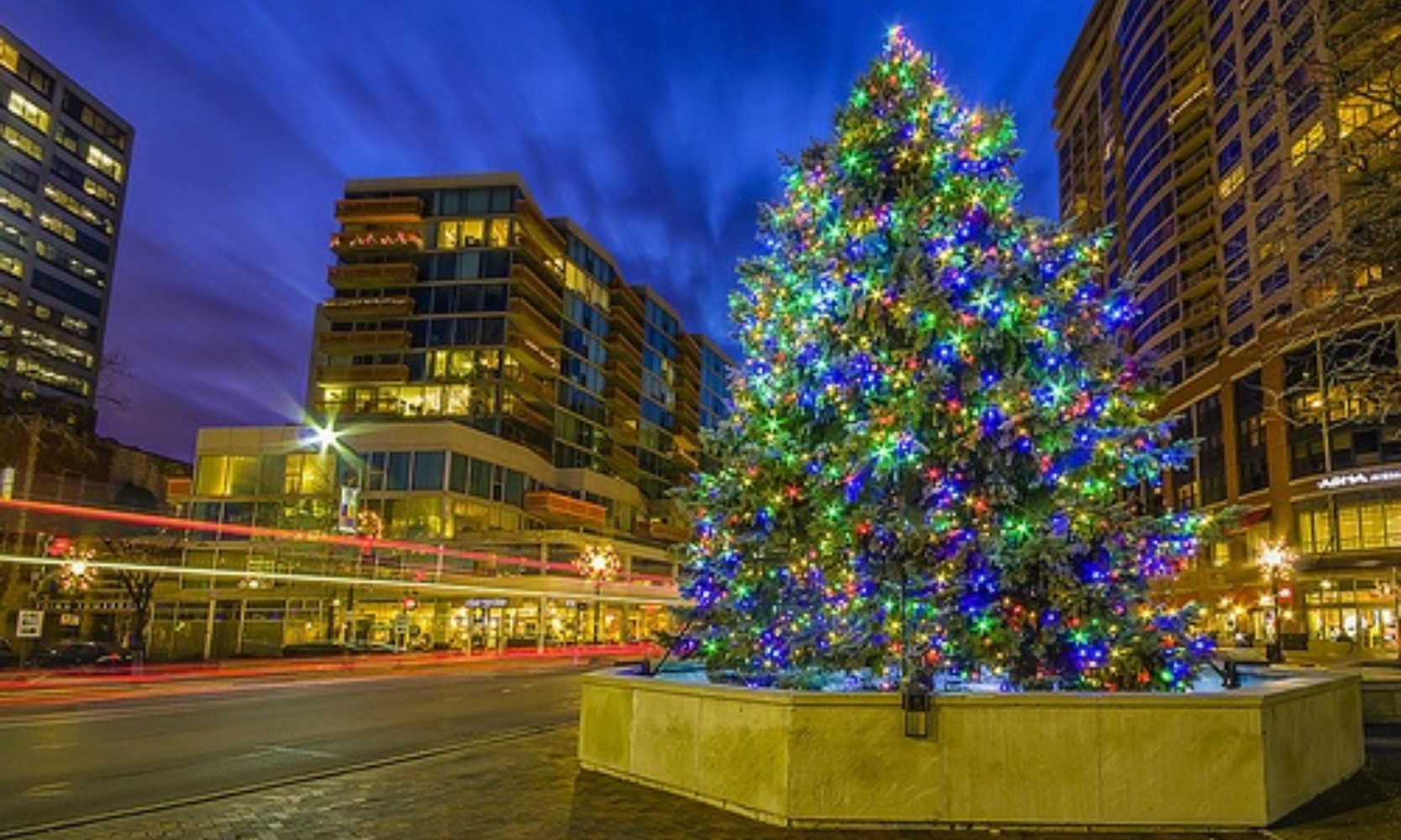 Image of a Christmas tree lit up in downtown Evanston, IL, at night