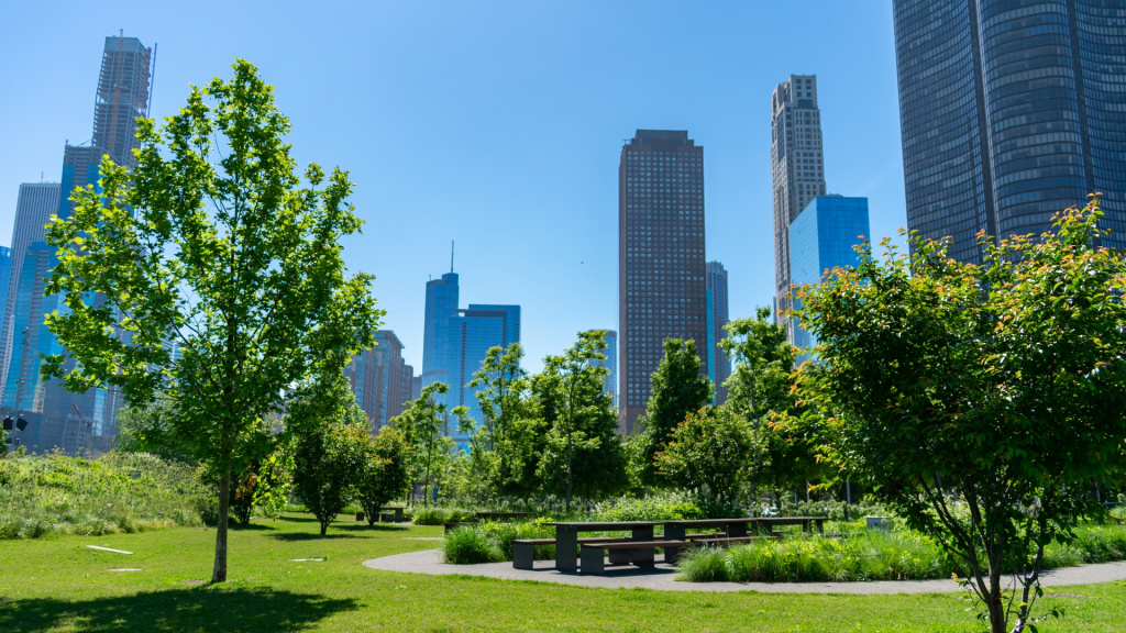 Daytime Image of a park with skyscrapers in the background in Streeterville, Chicago