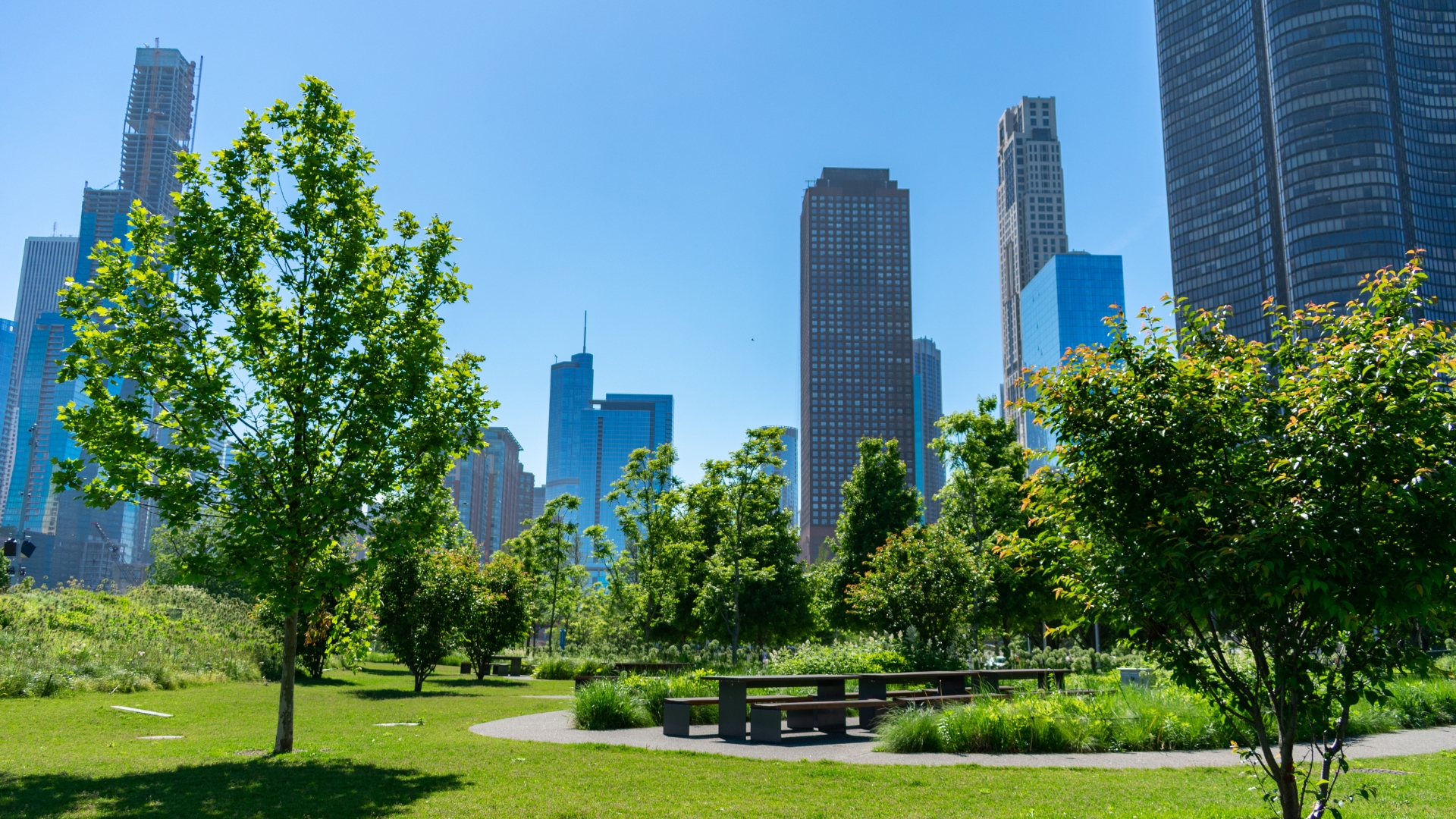 Daytime Image of a park with skyscrapers in the background in Streeterville, Chicago