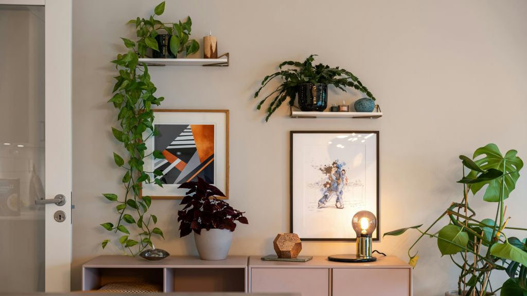 Image of a decorated wall with multiple plants and art
