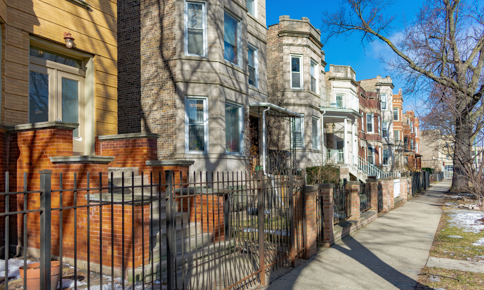 Image of row homes on a tree-lined street in the Logan Square, Chicago, neighborhood during winter