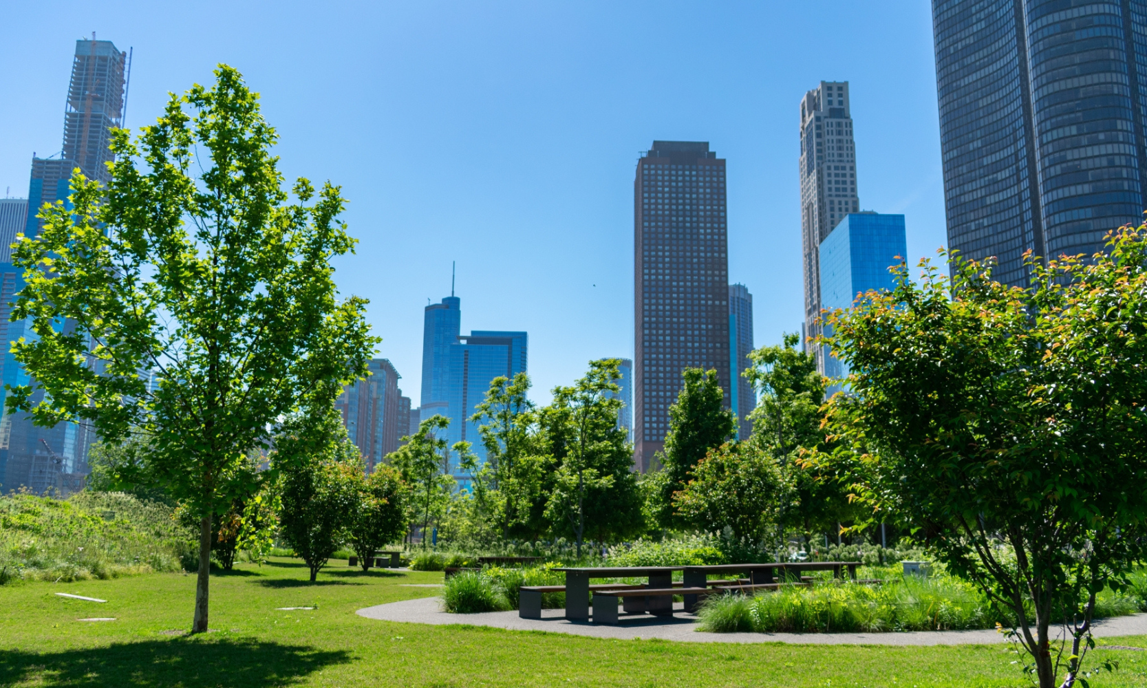Image of a park with surrounding skyscrapers in Streeterville, Chicago during the day
